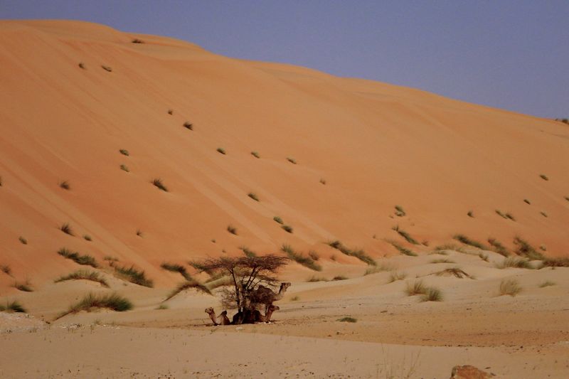 Mauritania
